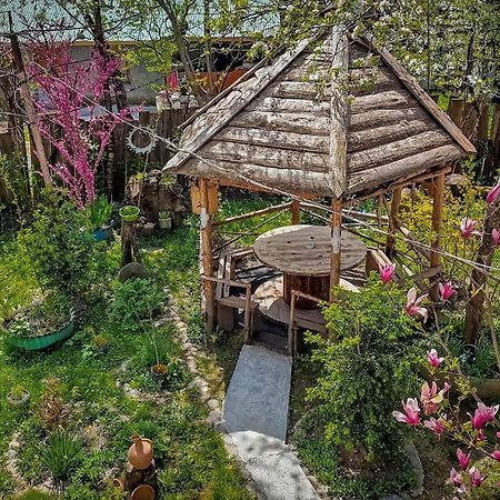 Guest House "Svaneti" Lentekhi 외부 사진