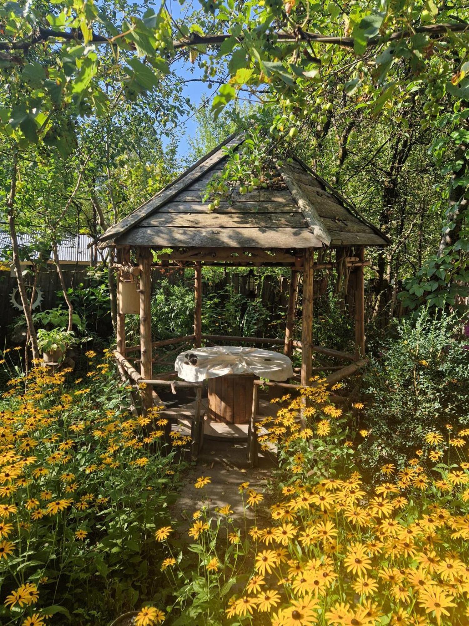 Guest House "Svaneti" Lentekhi 외부 사진