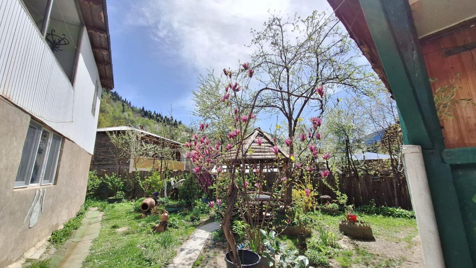 Guest House "Svaneti" Lentekhi 외부 사진