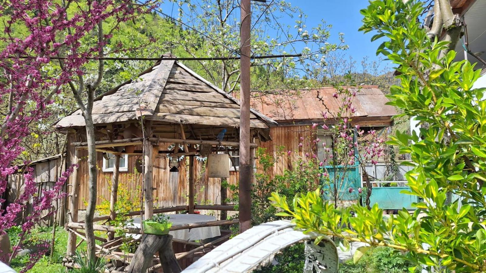 Guest House "Svaneti" Lentekhi 외부 사진