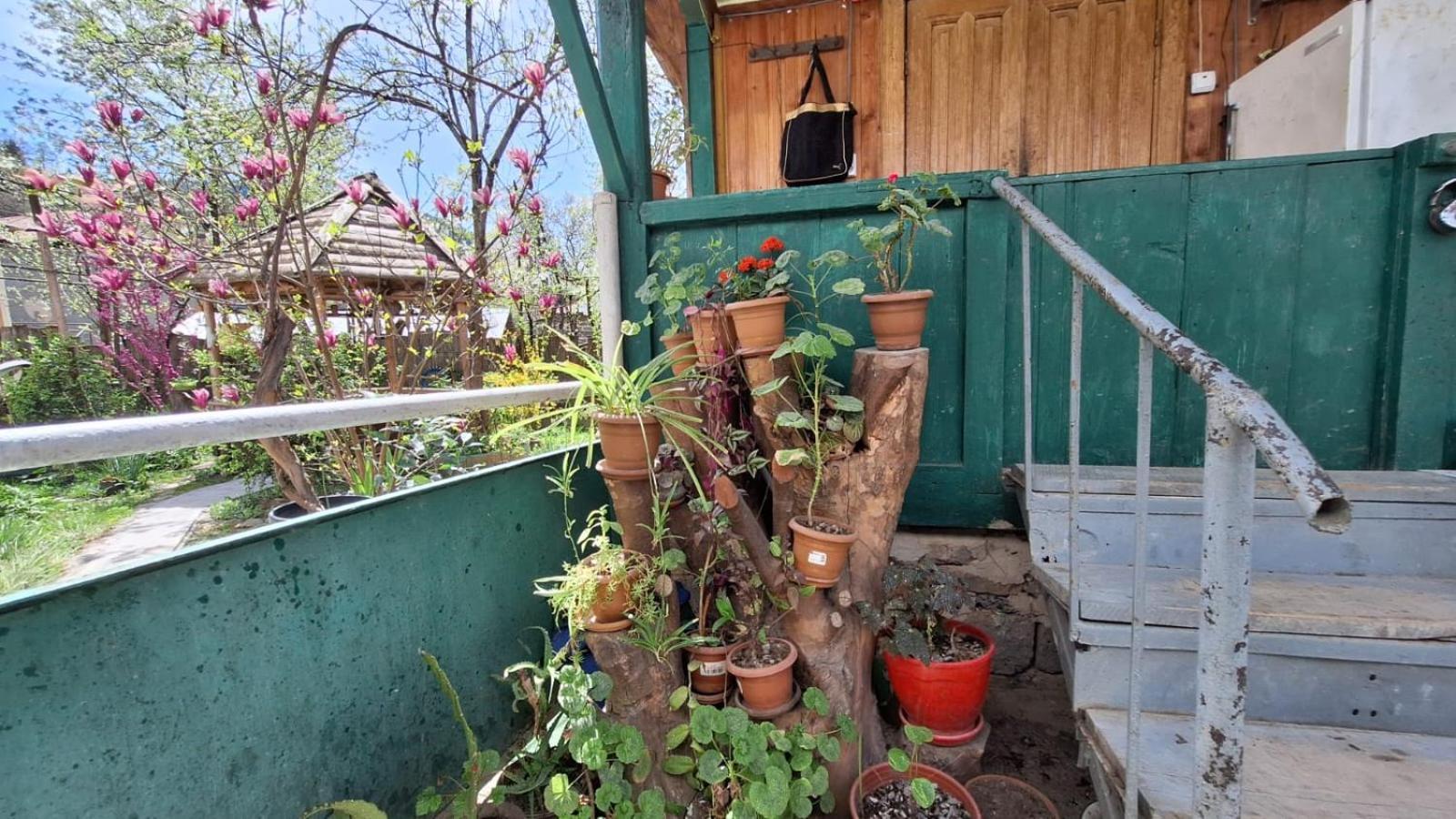 Guest House "Svaneti" Lentekhi 외부 사진