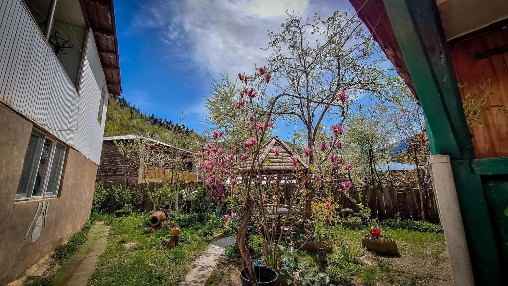 Guest House "Svaneti" Lentekhi 외부 사진
