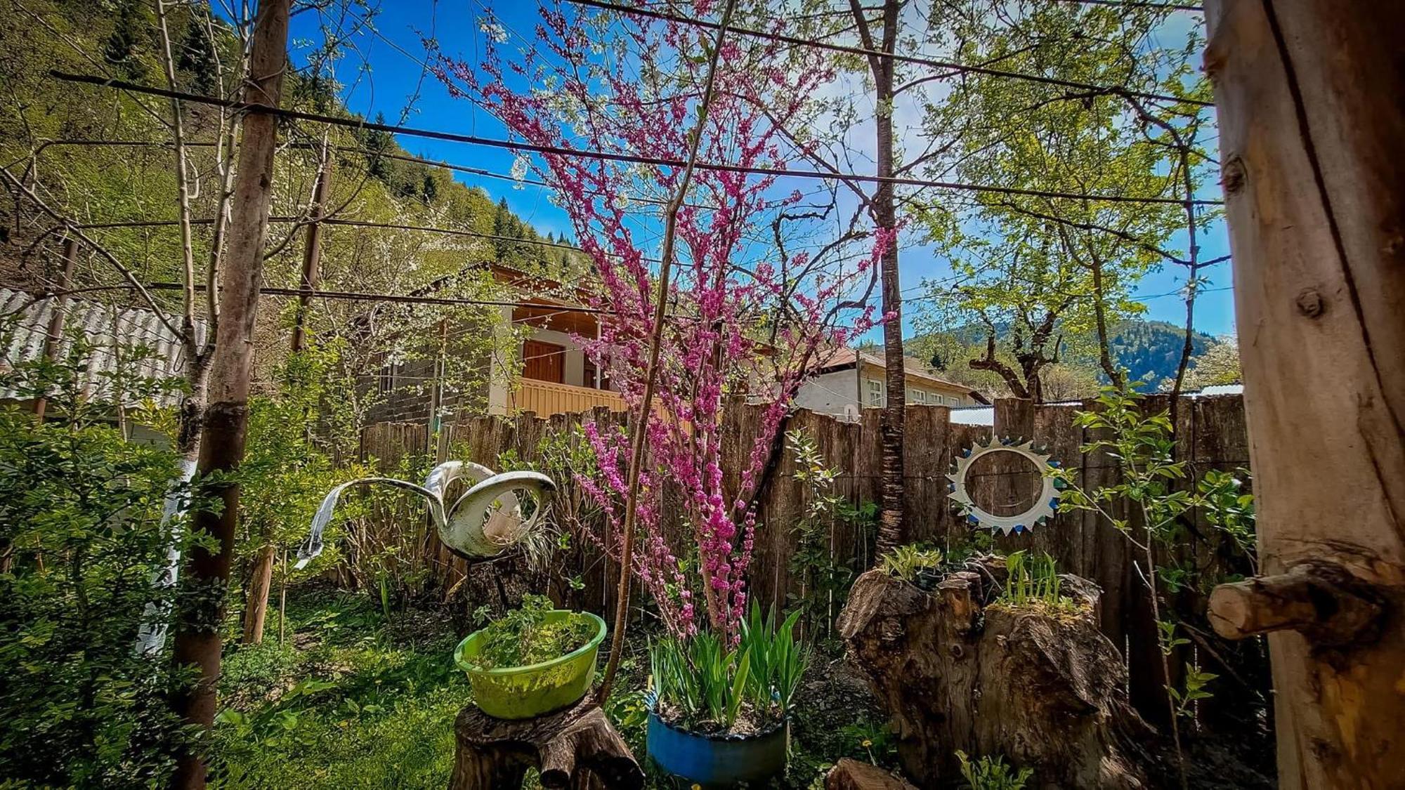 Guest House "Svaneti" Lentekhi 외부 사진